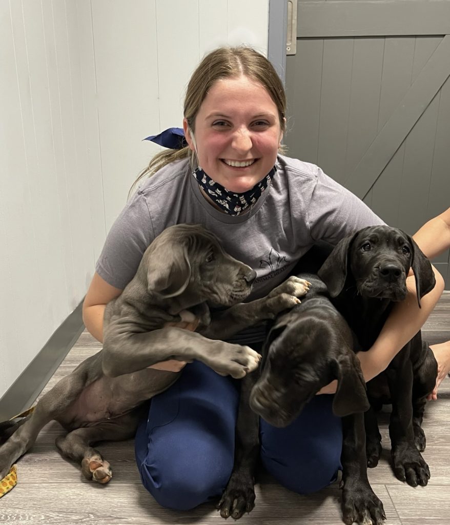 Cat & Dog Boarding in Ruston, LA Lagniappe Animal Health